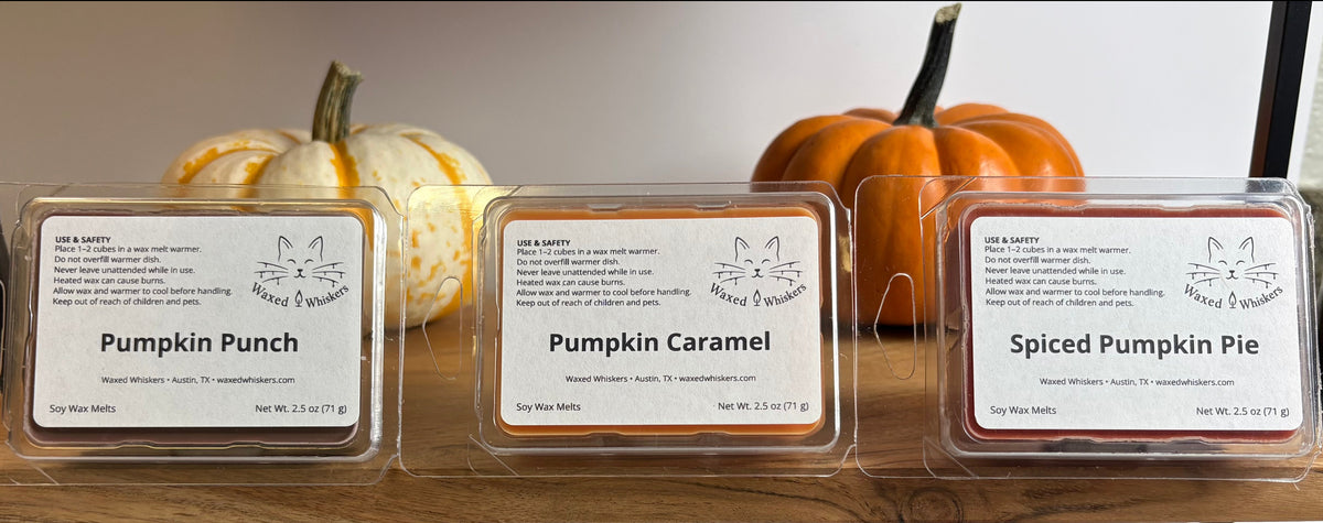 Three wax melts in clear clamshell packages labeled Pumpkin Punch, Pumpkin Caramel, and Spiced Pumpkin Pie, displayed on a wooden shelf with decorative pumpkins behind them.