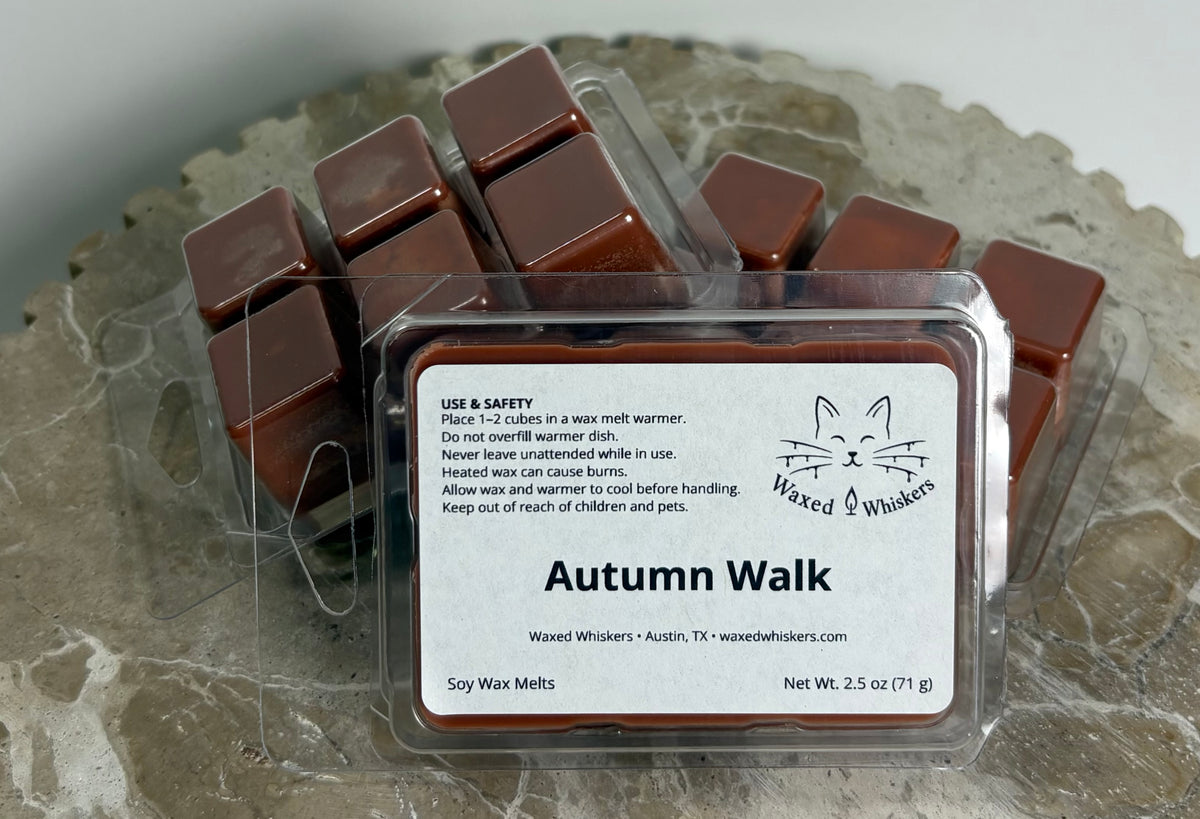 Autumn Walk