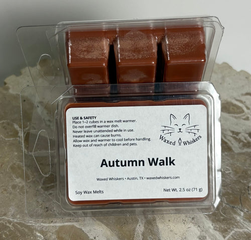 Autumn Walk